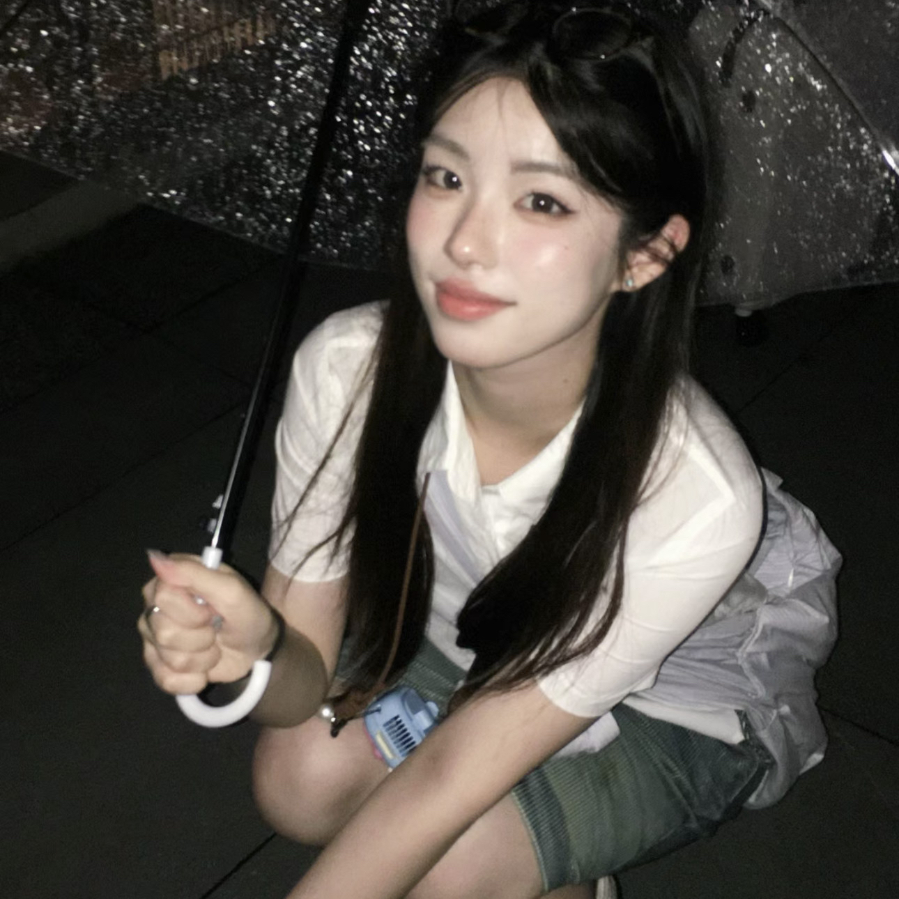 King Charles Cavalier